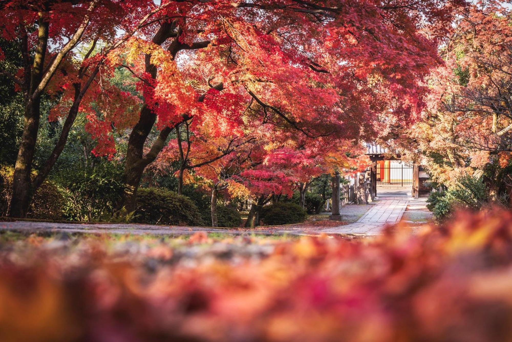 Omo5 Kyoto Gion By Hoshino Resorts Esterno foto